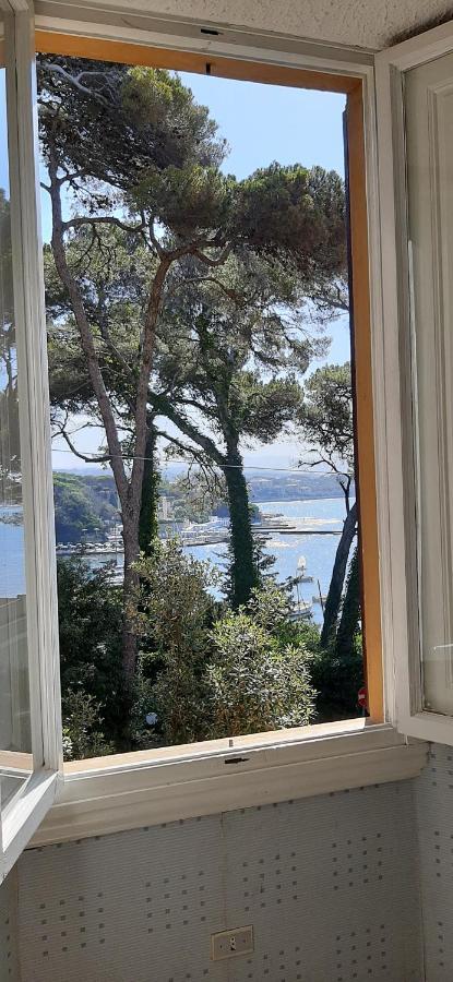 Villa Violetta Castiglioncello Bagian luar foto