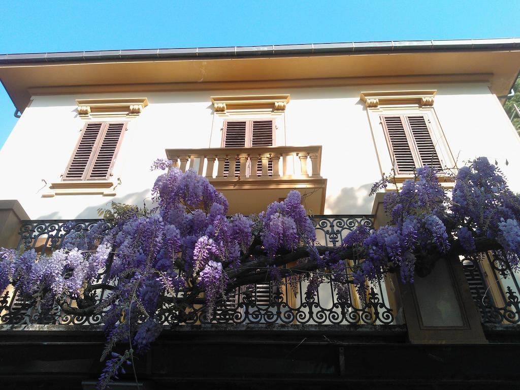 Villa Violetta Castiglioncello Bagian luar foto