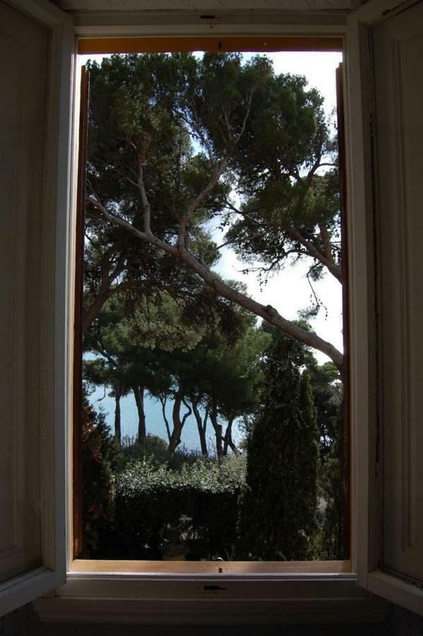Villa Violetta Castiglioncello Bagian luar foto
